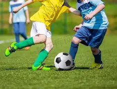 戈贝尔与阿,努诺比激烈,对峙,云顶娱乐,云顶娱乐官方网站,云顶娱乐平台