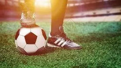 中国男乒队成功晋级世界杯团体赛四强